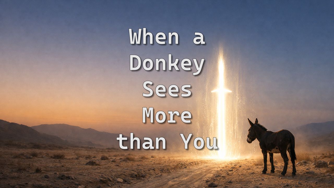 704 FBCWest | When a Donkey Sees More than You photo poster